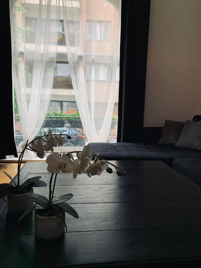 Chic Cocoon Guest House Saint-Gilles Dış mekan fotoğraf